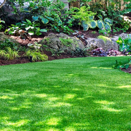 creation de gazon 77 MRP Paysages